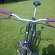 purple bike-ssp 09