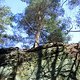 IMG 6687