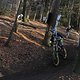 IMG 1841