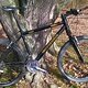 Cannondale F2000SL Rheinaue 1
