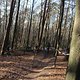IMG 1883