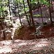 DSC02938