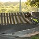 Weil im Dorf Pumptrack Opening Deutsche Pumptrack Tour - DPT Series