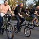 Critical Mass 1703 0351b