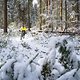 20190504-26L Thüringer Wald