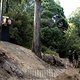 Johny Salido performs during  practice at Red Bull Hardline  in Maydena Bike Park,  Australia on February 21,  2024 // Graeme Murray / Red Bull Content Pool // SI202402210572 // Usage for editorial use only //