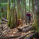 BC Whistler - Bart&#039;s Dark Trail