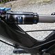 IMG 3335
