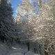 Foto0063