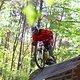 IMG 4828