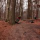 IMG 6788