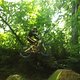 Alkenrath Dirt 