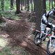IMG 5217
