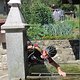 IMG 0461