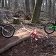 Bike Beerfelden P 174