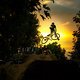 Bembelbahn Bergstrasse Vollgas Jam Deutsche Freestyle Mountainbike Tour - DFMT Series
