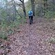 Spandauer Forst