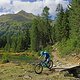 DSC05306-ck