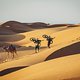 Im Oman ging es durch die Wüste