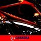 Carrera (1von16)