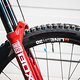 Eigentlich wird das Trek-Team von Pirelli gesponsert, es ist jedoch ein offenes Geheimnis, dass konkurrenzfähige Reifen noch in der Entwicklung sind.
