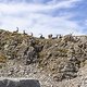 IMG 4117