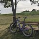 Lieblingsbank 1