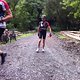 IMG 1384