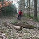 DSCF3151