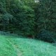 DSCF3690
