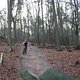 IMG 1199