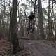 IMG 1455