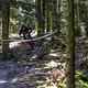 Die natürlichen Strecken im Harz dürften für mächtig Spaß sorgen