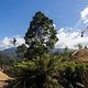 Matt Jones performs during  practice at Red Bull Hardline  in Maydena Bike Park,  Australia on February 21,  2024 // Graeme Murray / Red Bull Content Pool // SI202402210585 // Usage for editorial use only //
