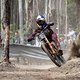 Jackson Goldstone performs at Red Bull Hardline  in Maydena Bike Park,  Australia on February 24,  2024 // Graeme Murray / Red Bull Content Pool // SI202402240015 // Usage for editorial use only //