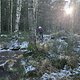 IMG 2453