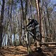 Bike Beerfelden P 284