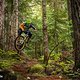 In den Wäldern Kanadas - geschützt vom iXS Trail RS
