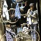 IMG 1468