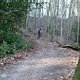 DSCF3132