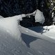Schneeheuschrecke