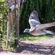 Urlaub Tierleben 6776