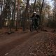 IMG 1930