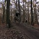 IMG 1981