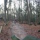 IMG 1196