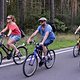 Critical Mass 1608 2324b