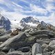 IMG 4116