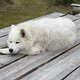 IMG 4192