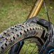 An der Front vertraut Jasper auf einen Schwalbe Magic Marry...