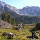 Oberhalb der Steineralm mit Blick auf Hochstaufen (1771m) und Mittelstaufen (1618m)